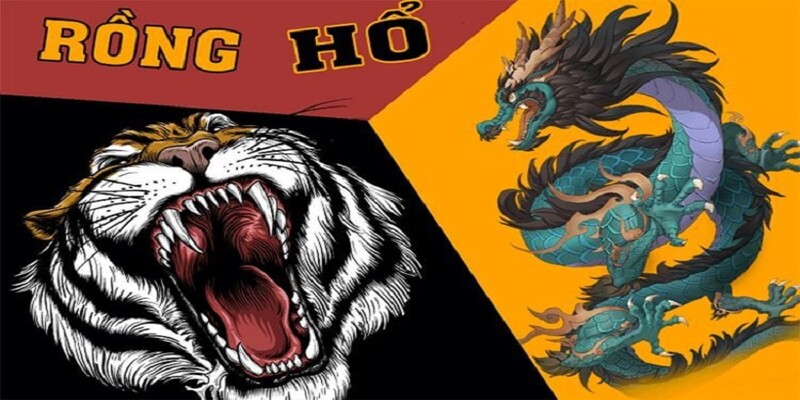 Tổng hợp các App game rồng hổ và hướng dẫn cách tải